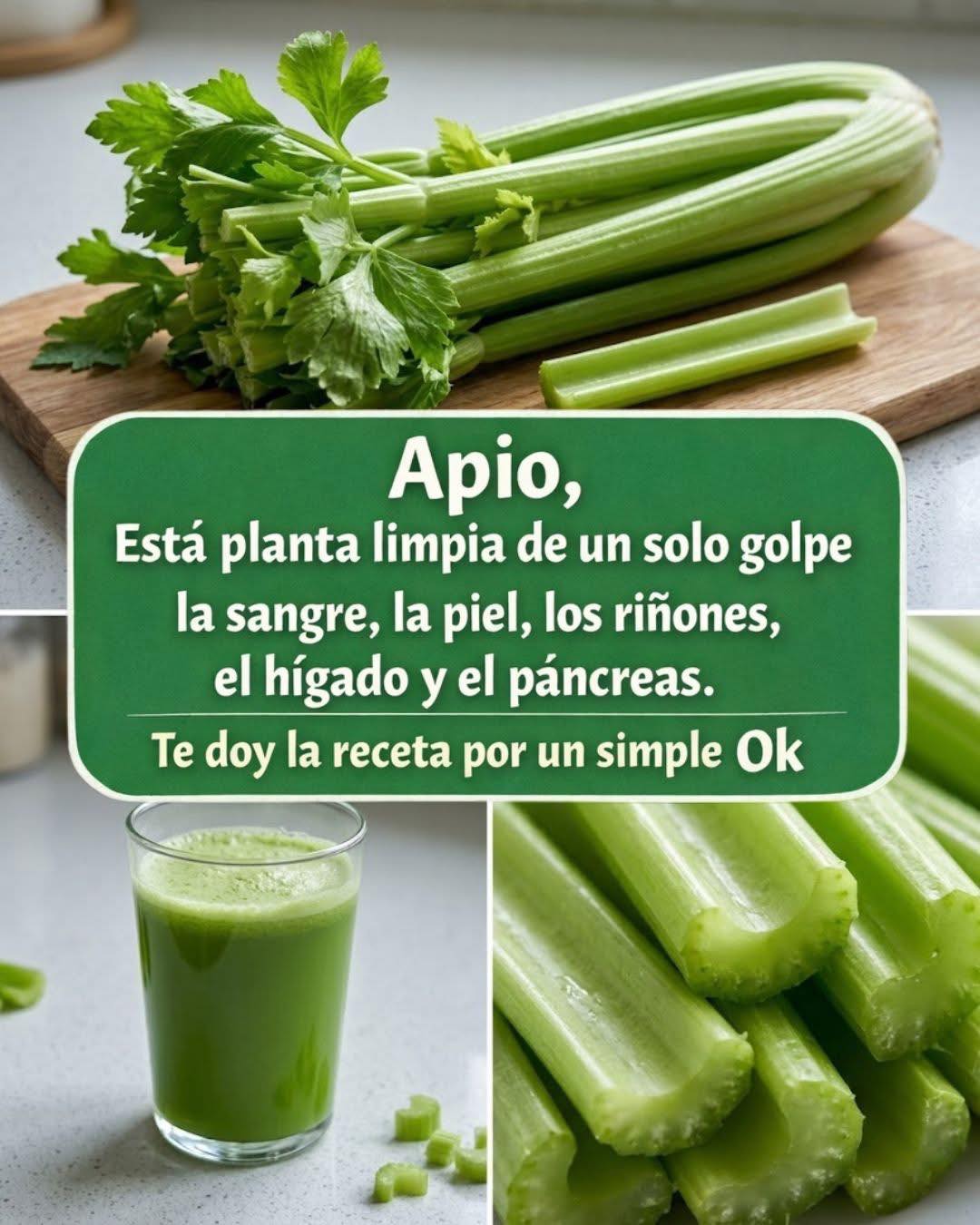 Jugo de apio para limpiar riñones, hígado y pulmones