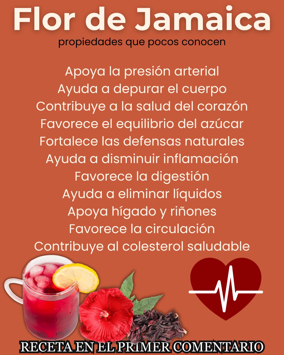 Té de Jamaica: Beneficios, Receta y Precauciones