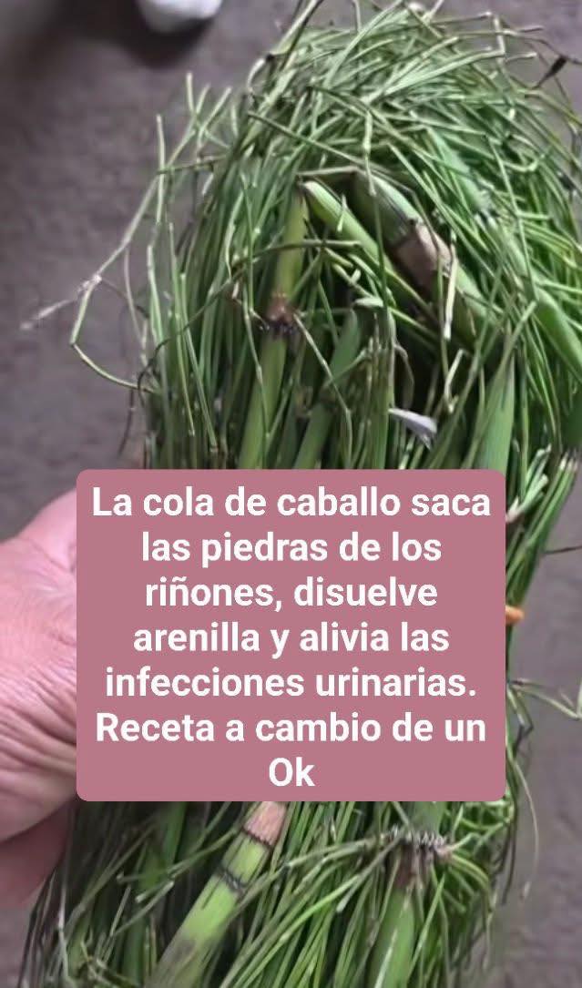 EL SECRETO DE LA COLA DE CABALLO: DRENAJE, LIMPIEZA Y REMINERALIZACIÓN