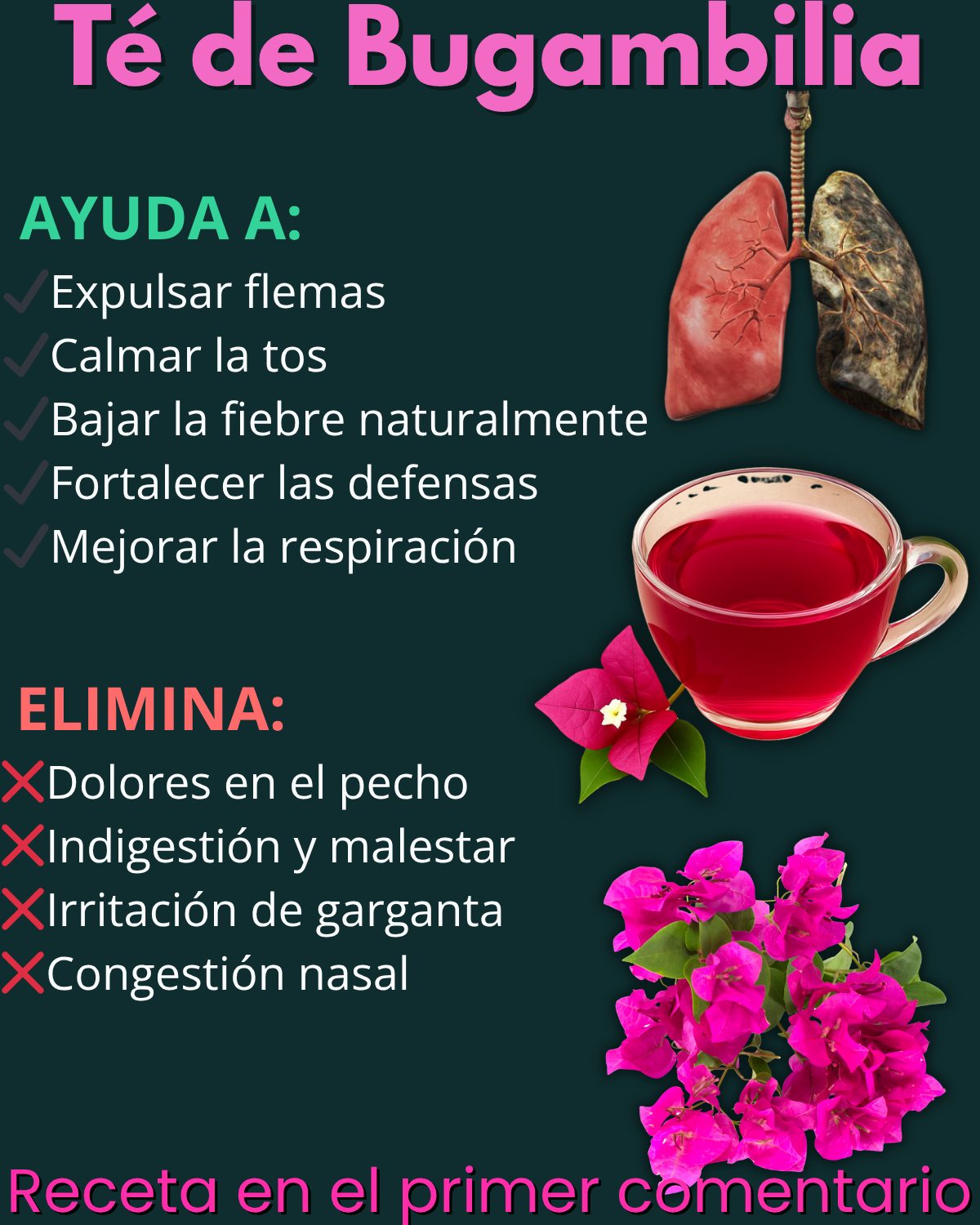 Té de bugambilia: alivio natural para tu salud respiratoria