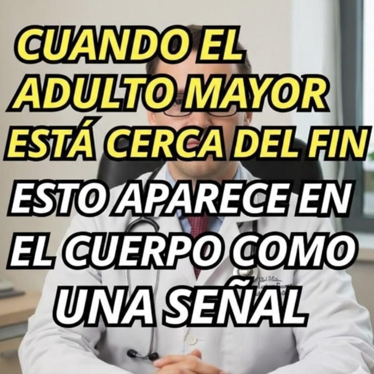 Los increíbles beneficios de la malva para la salud