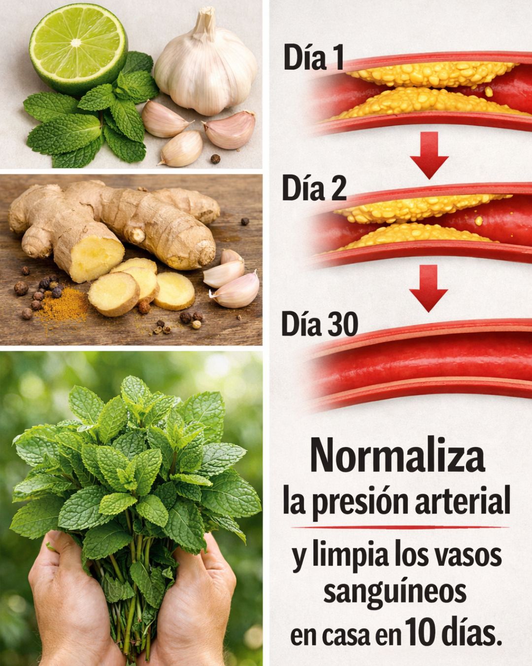 ❤️ Di adiós a las arterias sobrecargadas con estos alimentos poderosos