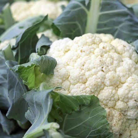 Los médicos revelan qué puede causar realmente la coliflor