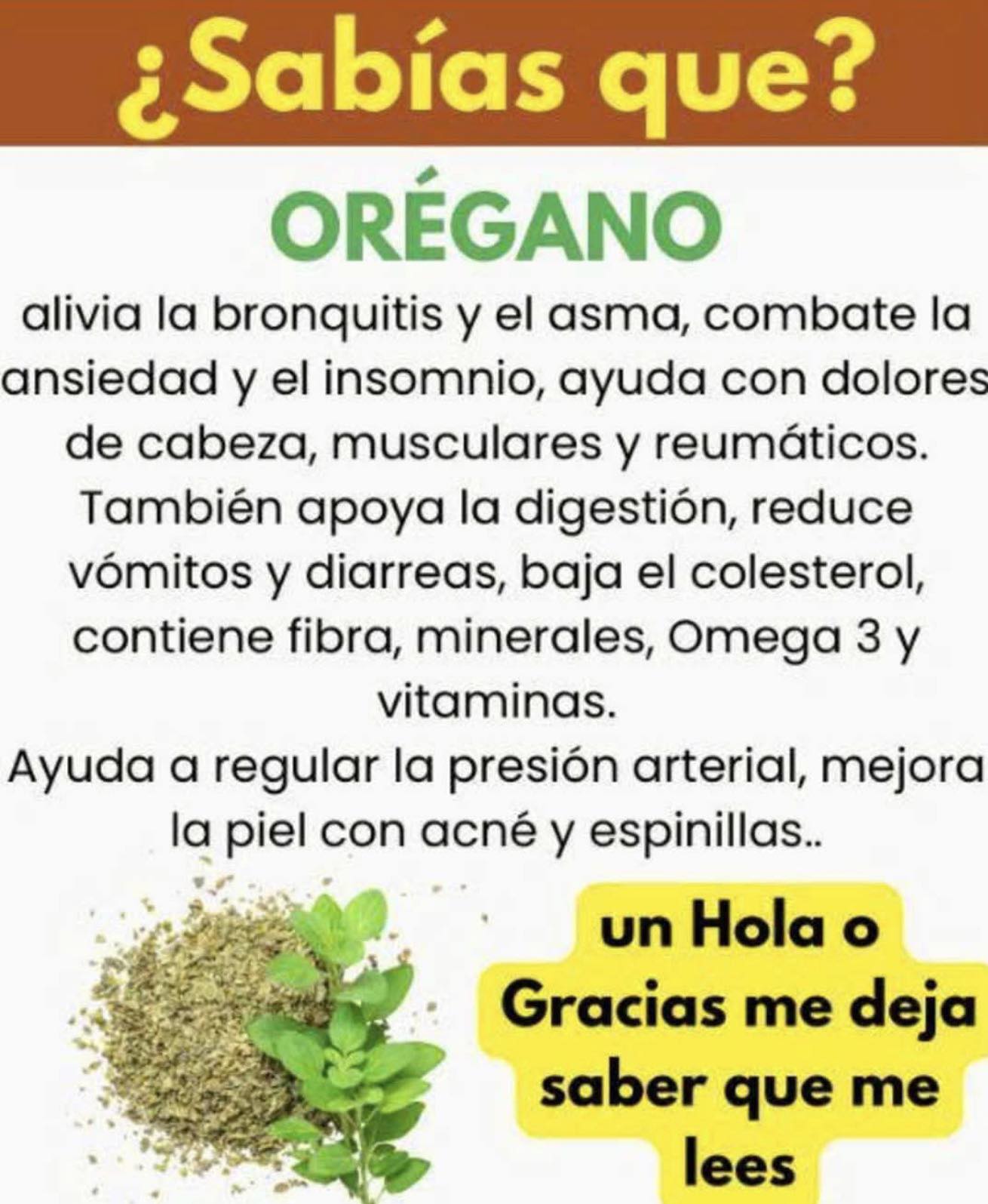 Si tienes esta planta en tu casa, tienes un tesoro y no lo sabías