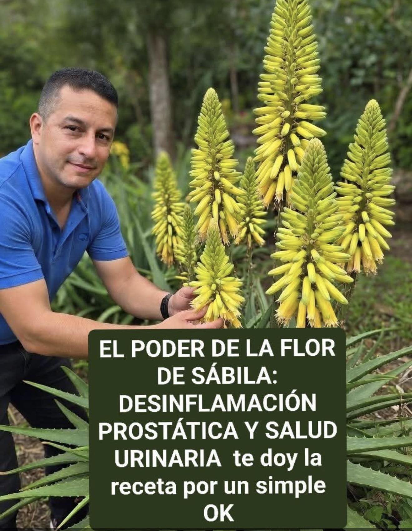 Cómo preparar paso a paso el jugo de aloe vera