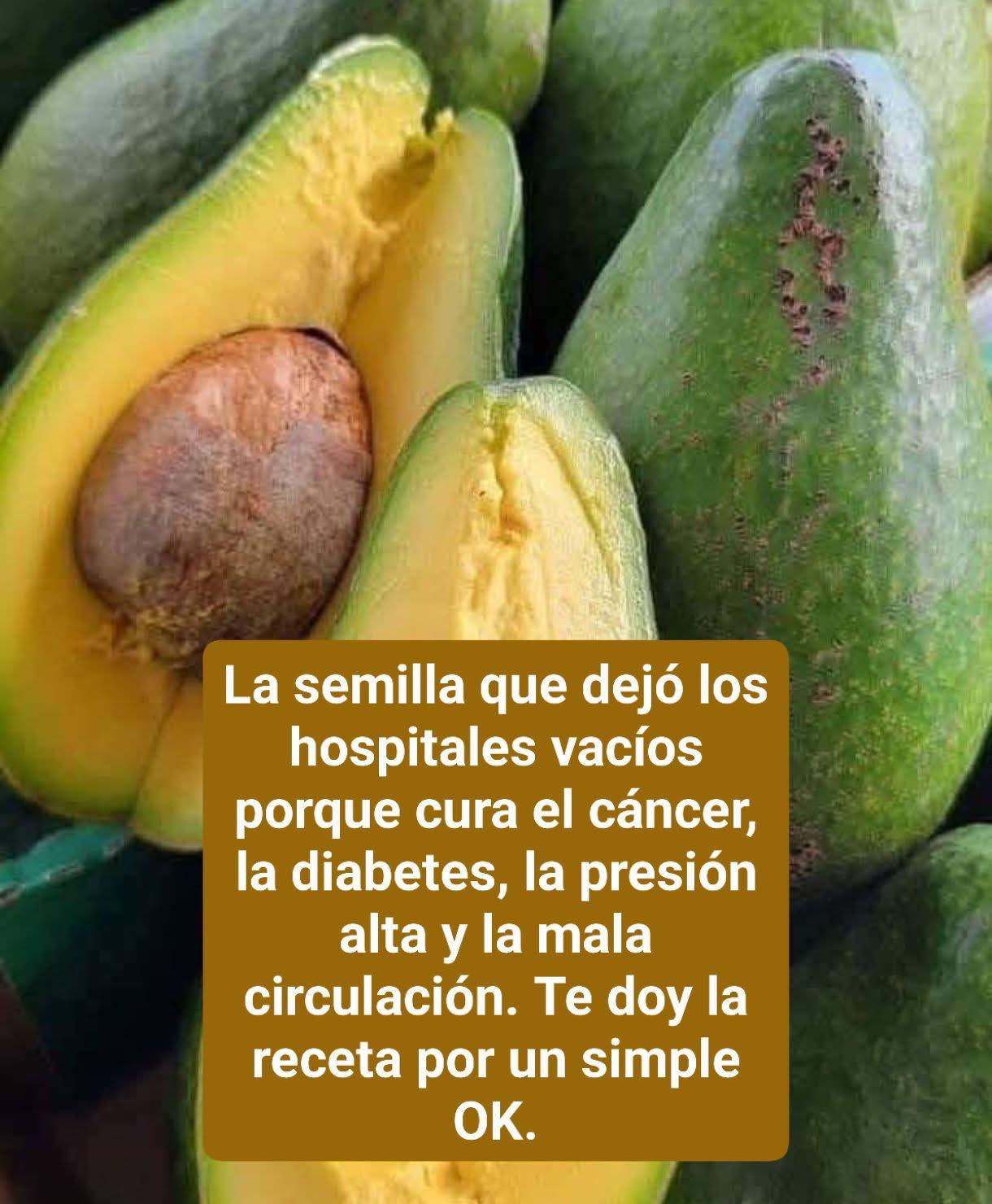 El té de hueso de aguacate