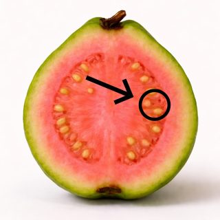 El té de hojas de guayaba