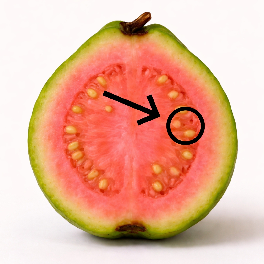 El té de hojas de guayaba