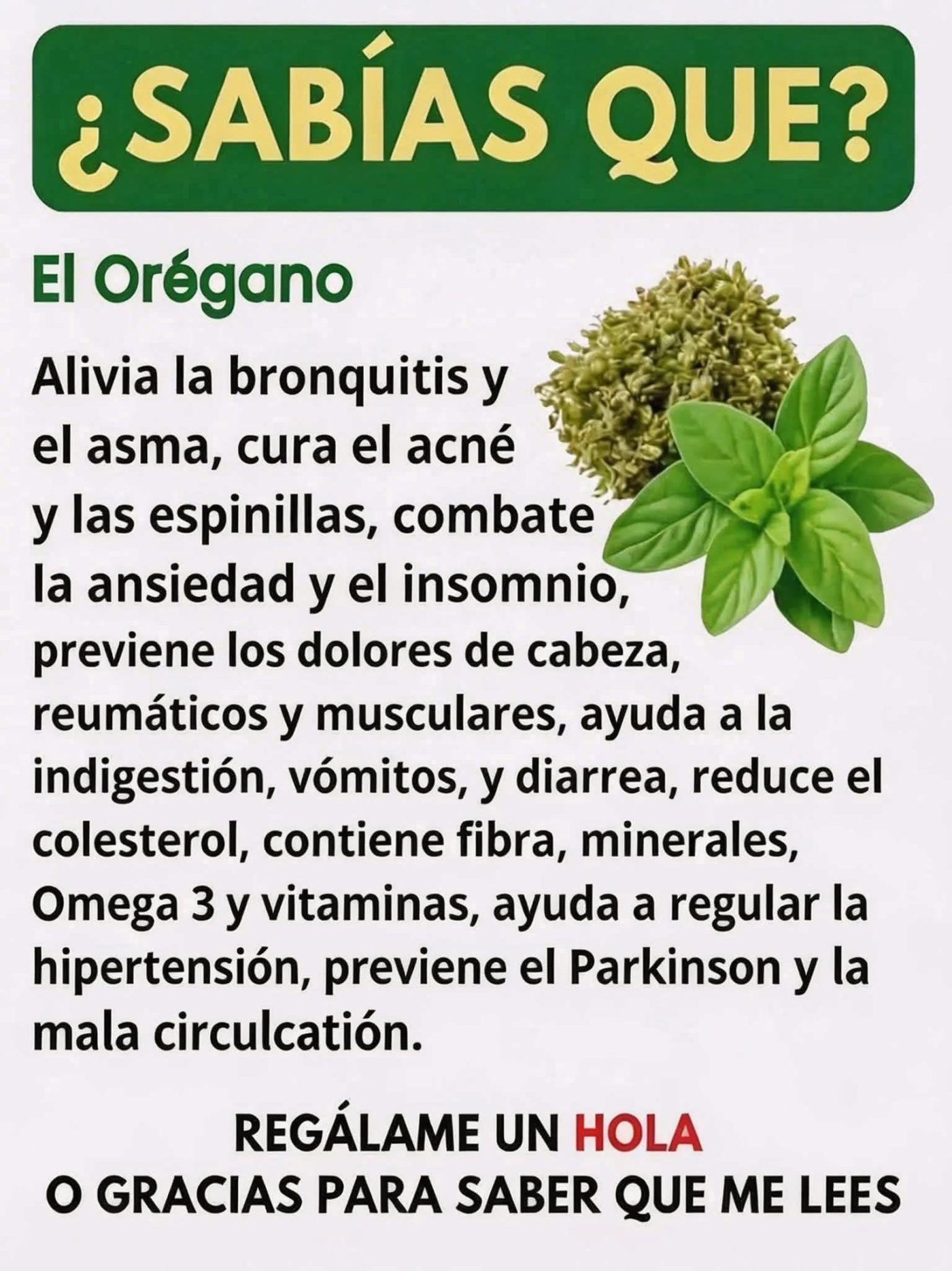 Si tienes esta planta en tu casa, tienes un tesoro y no lo sabías