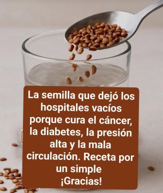 5 semillas