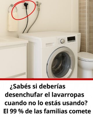 ¿Hay que desenchufar el lavarropas después de usarlo? 🧼🔌