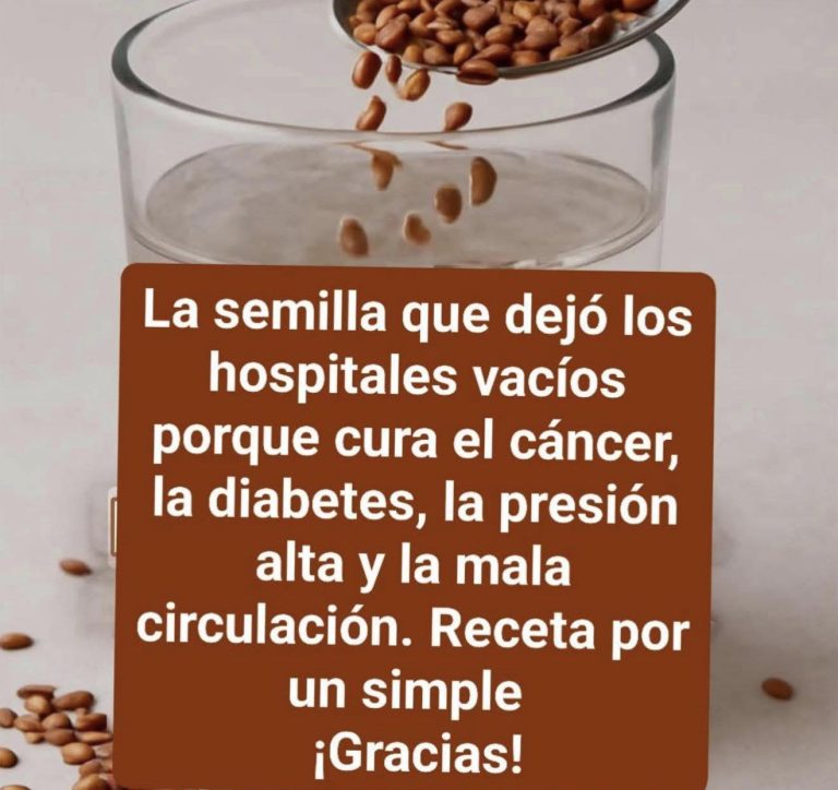 5 semillas