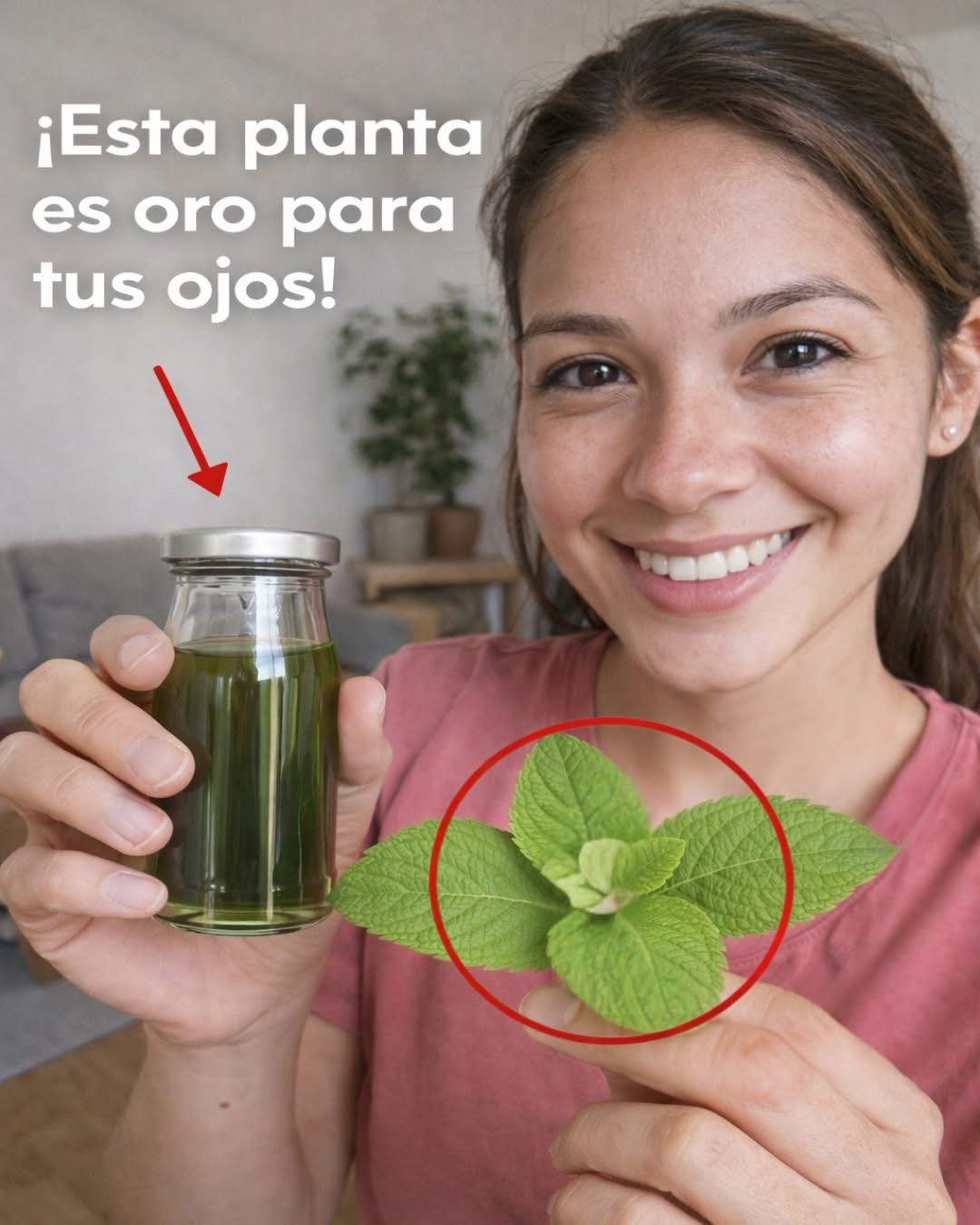 Receta de té de orégano