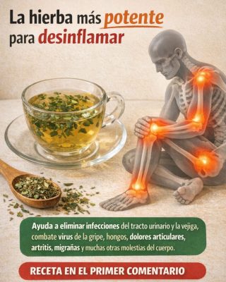 Tomillo: 35 beneficios, propiedades y recetas naturales para sanar cuerpo y mente
