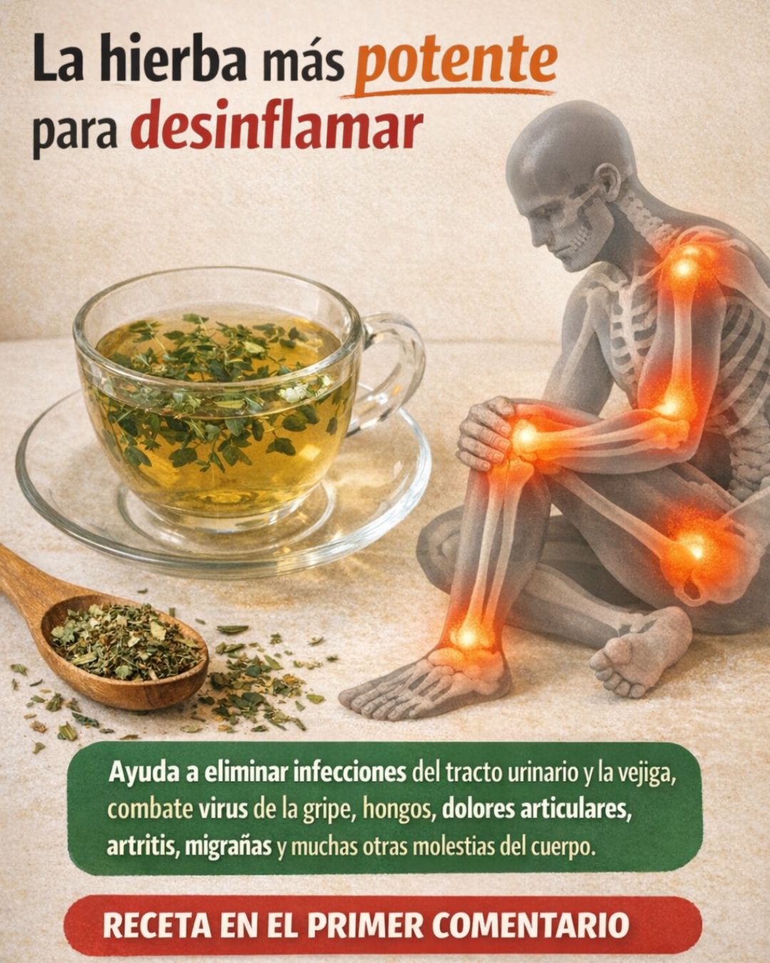 Tomillo: 35 beneficios, propiedades y recetas naturales para sanar cuerpo y mente
