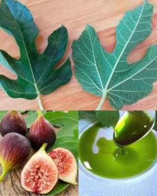 Todos aman los higos, pero los verdaderos beneficios lo poseen sus hojas