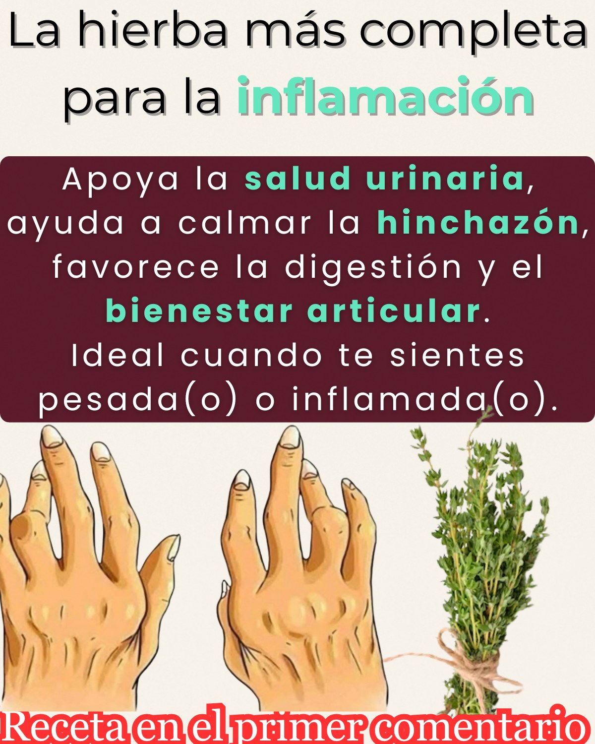 Tomillo para el vértigo y la fibromialgia: recetas naturales efectivas