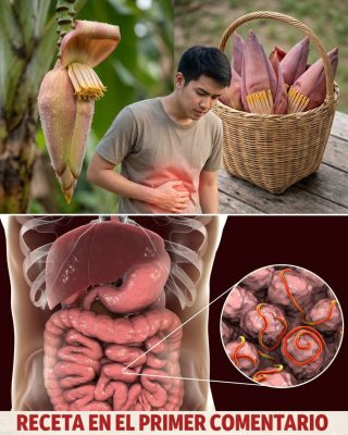 🌺 Ver esta planta en tu jardín es más valioso que encontrar dinero: el poder curativo del corazón de plátano