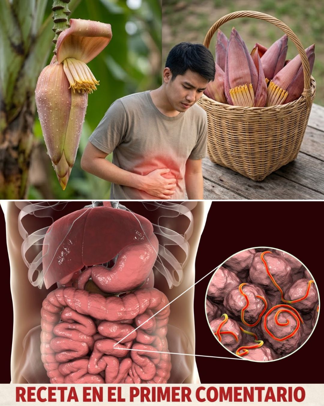 🌺 Ver esta planta en tu jardín es más valioso que encontrar dinero: el poder curativo del corazón de plátano