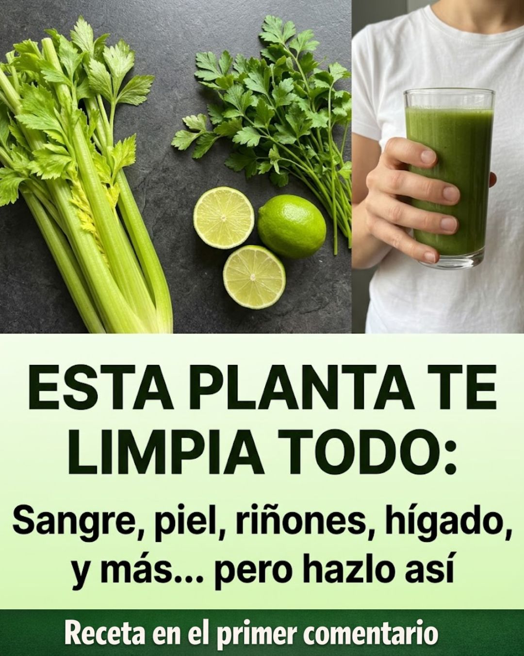 Jugo de Apio en Ayunas: Limpia tu Sangre, Riñones y Hígado de Forma Natural