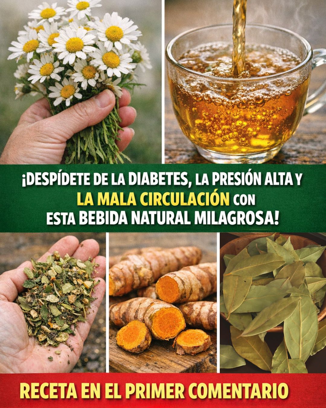 🌿 Bebida Natural que Combate la Diabetes, la Presión Alta y la Mala Circulación