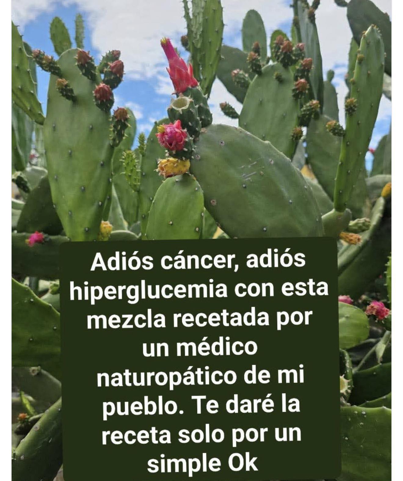 La Bebida de Limón + Nopal