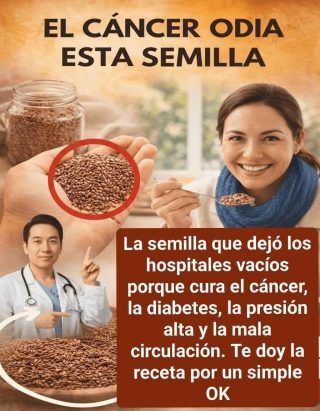 El cáncer odia estas 3 semillas – Personas mayores, cómanlas todos los días.