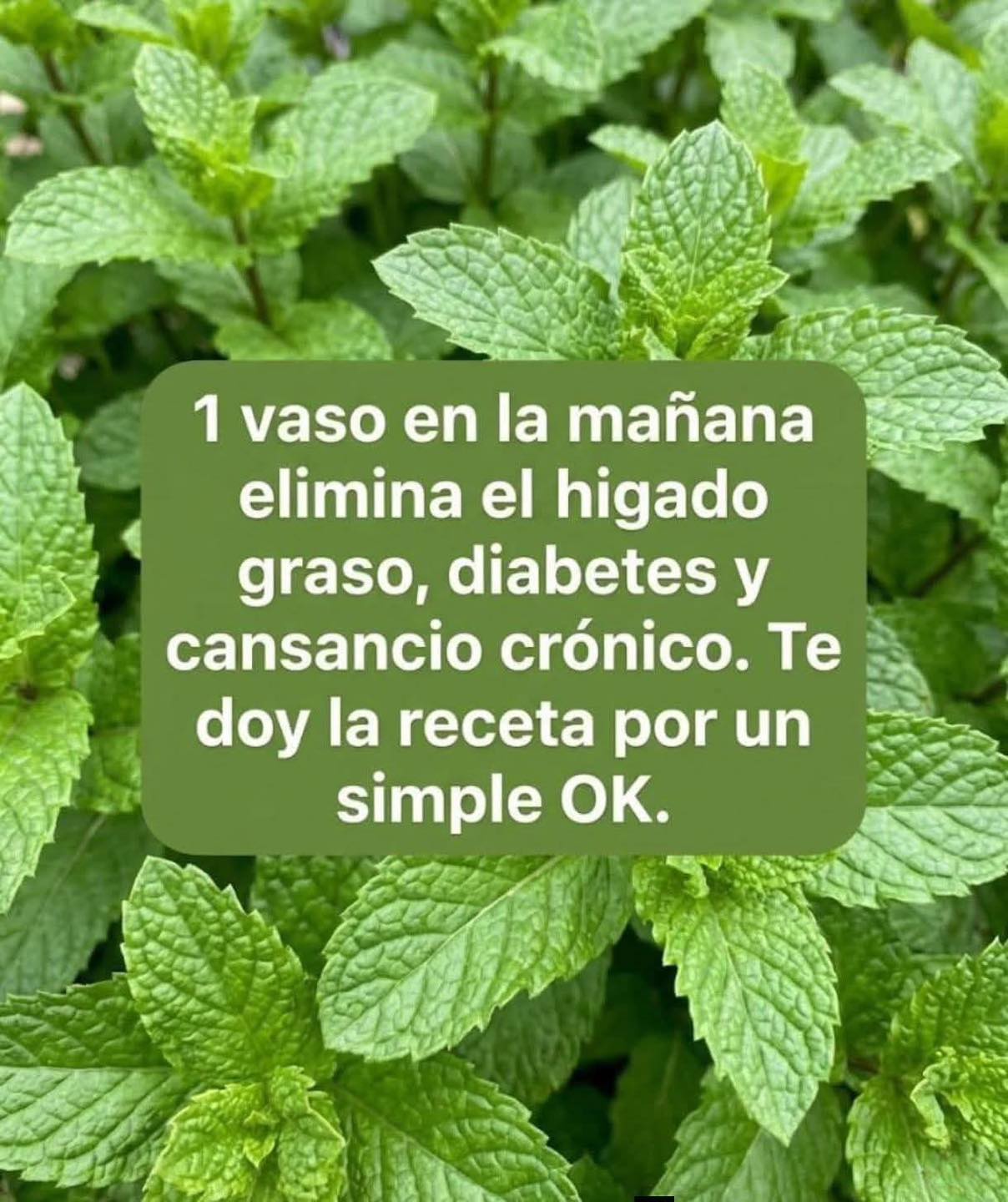 JUGO DE HIERBABUENA CON LIMÓN