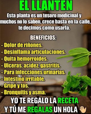 EL LLANTÉN: