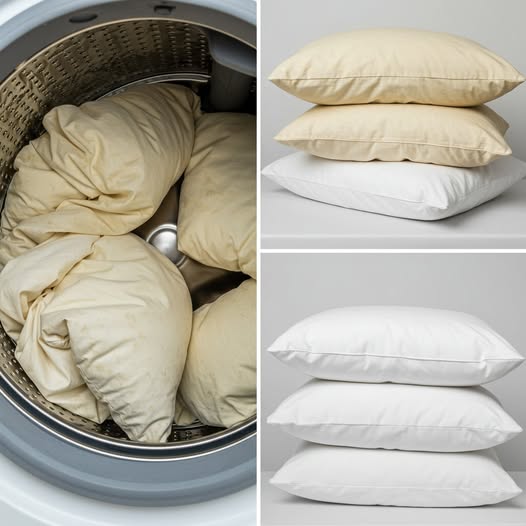 Cómo Lavar una Almohada: 3 trucos para que quede tan Blanca como Nueva