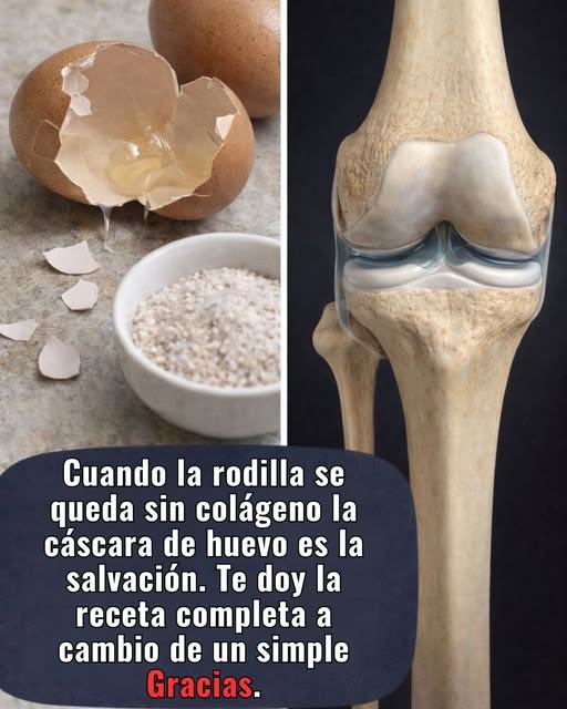 No vuelvas a tirar las cáscaras de huevo: un tesoro para tus huesos