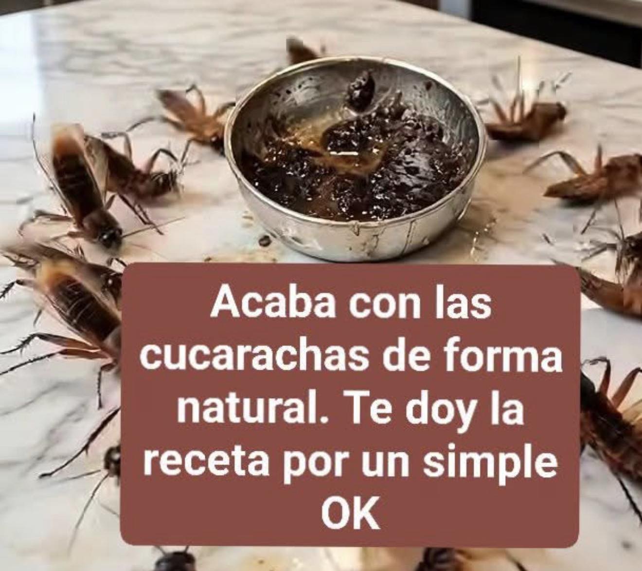 Cómo limpiar el piso para eliminar cucarachas de inmediato