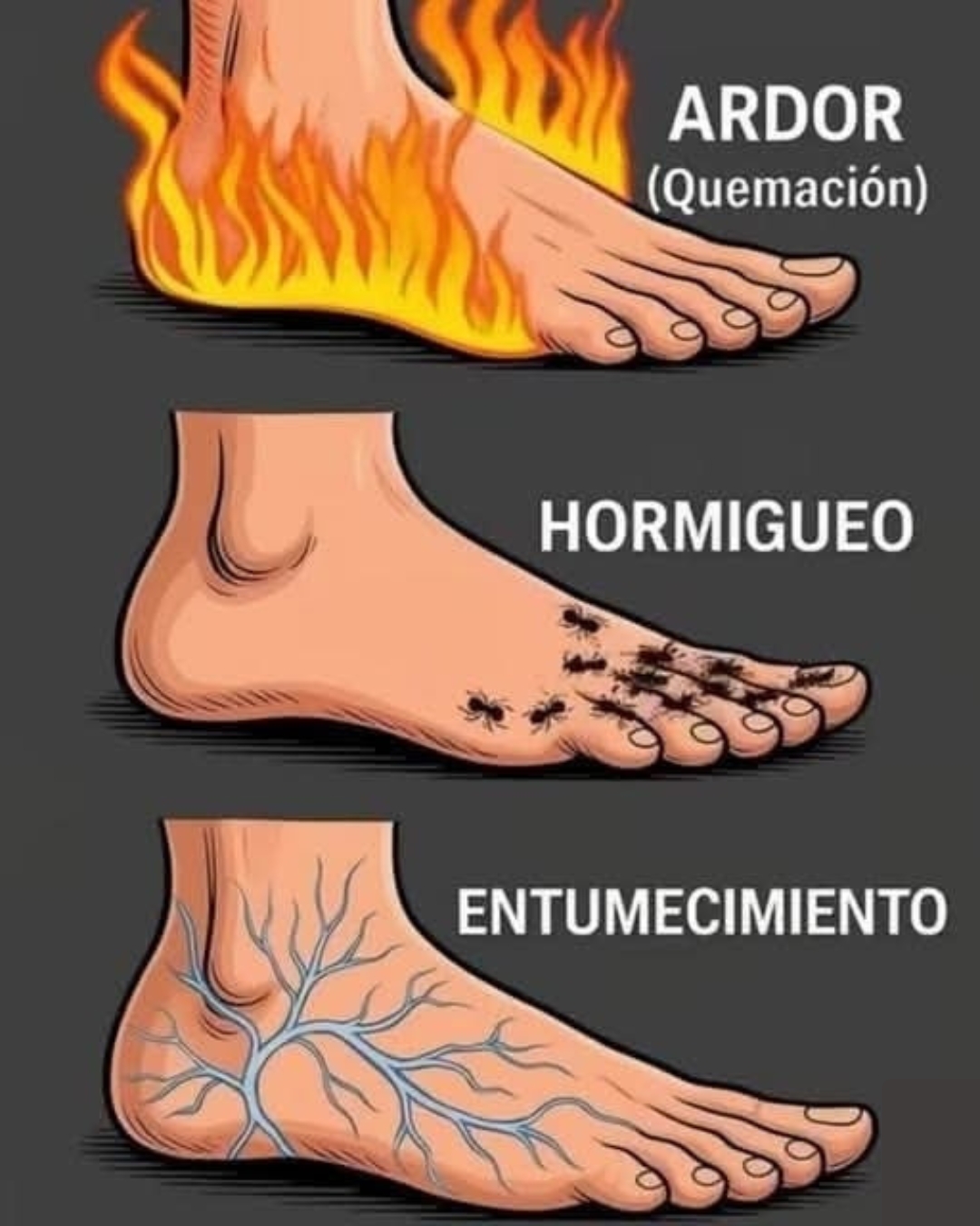 Ardor entumecimiento y hormigueo en los pies?