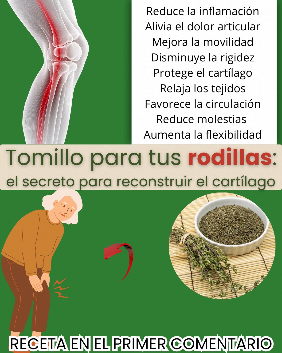 Tomillo: El Remedio Natural para la Regeneración del Cartílago en las rodillas