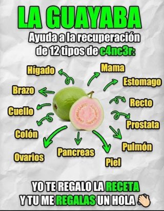 Té de Hojas de Guayaba: beneficios, propiedades y como prepararlo