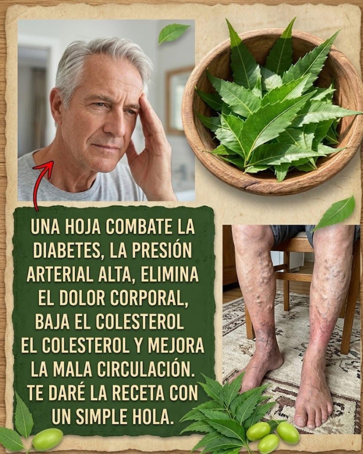 Hojas de Neem para Mejorar Tu Salud