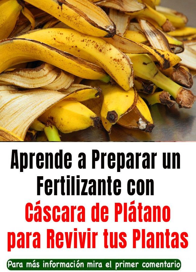 Asi debes Preparar Agua de de Banana Para Regar las Plantas