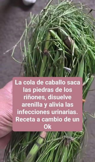EL SECRETO DE LA COLA DE CABALLO: DRENAJE, LIMPIEZA Y REMINERALIZACIÓN