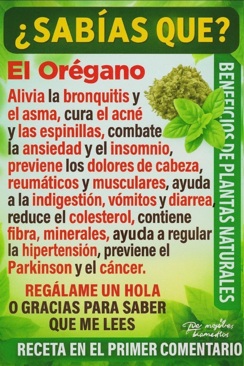 Té de orégano en ayunas: limpia tu cuerpo y fortalece tu salud