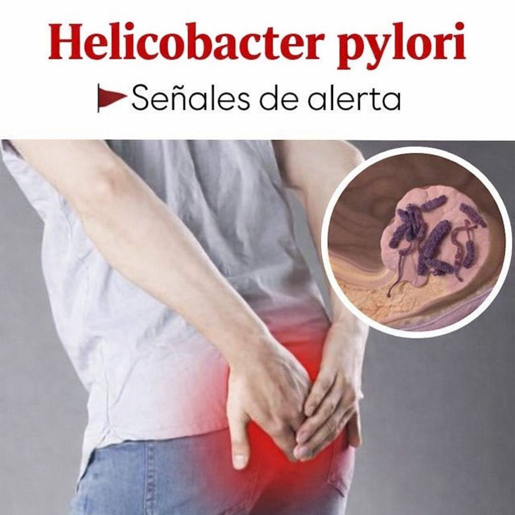 La tasa del Helicobacter pylori aumenta, conoce los 5 síntomas que debes tener en cuenta.