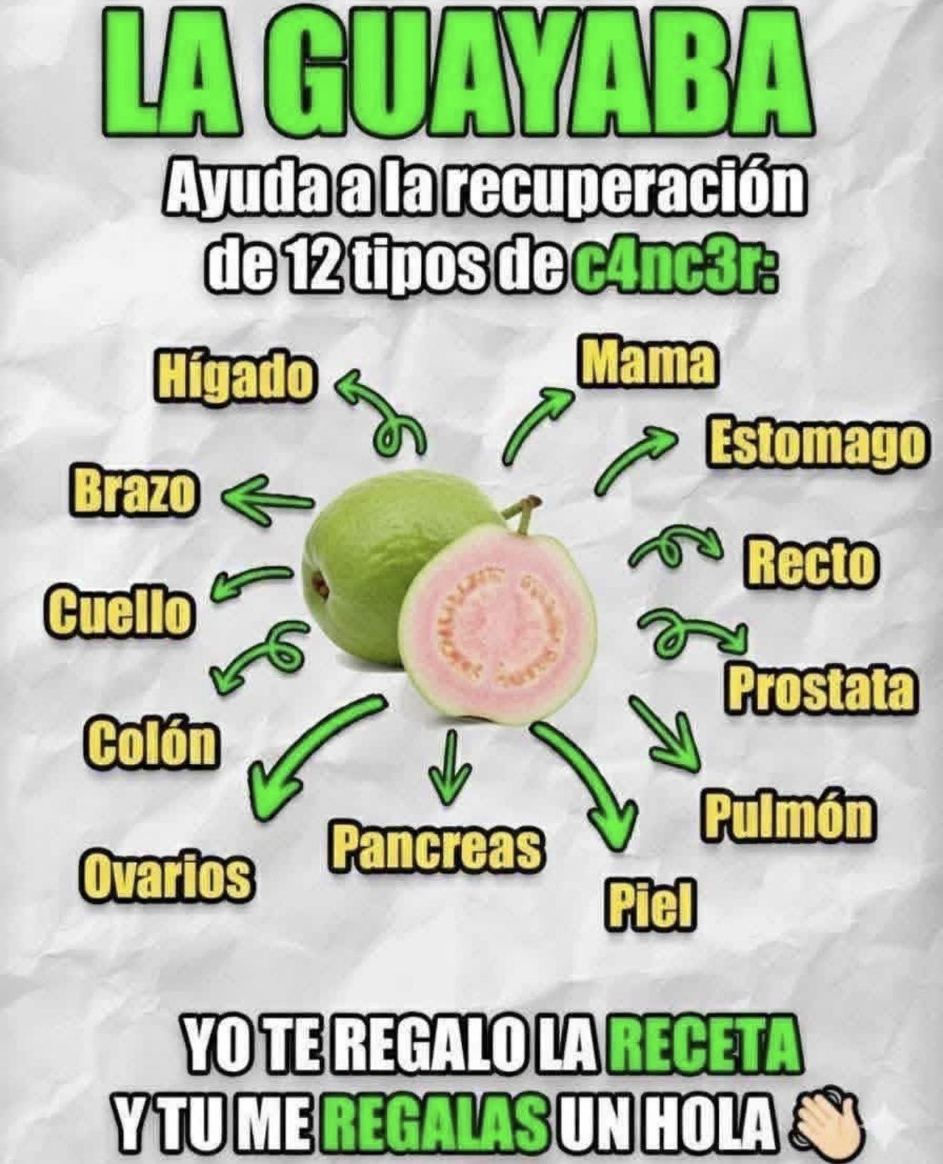 Té de Hojas de Guayaba: beneficios, propiedades y como prepararlo