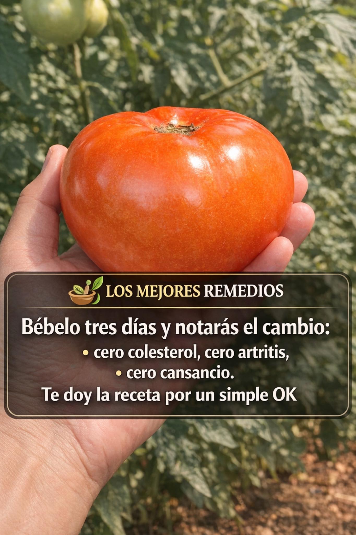 Bébelo tres días y notarás el cambio: cero colesterol, cero artritis, cero cansancio. Te doy la receta por un simple OK