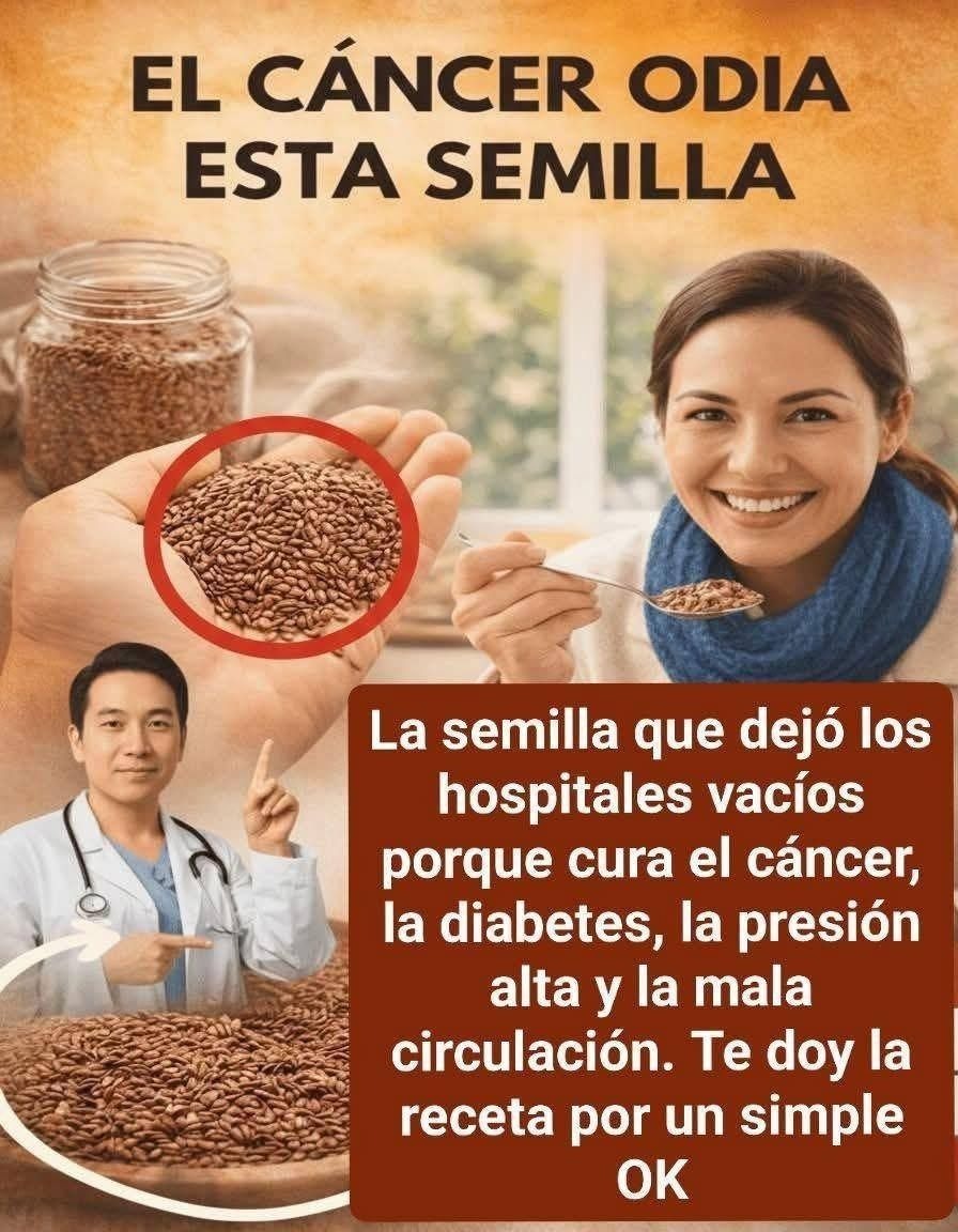 El cáncer odia estas 3 semillas – Personas mayores, cómanlas todos los días.