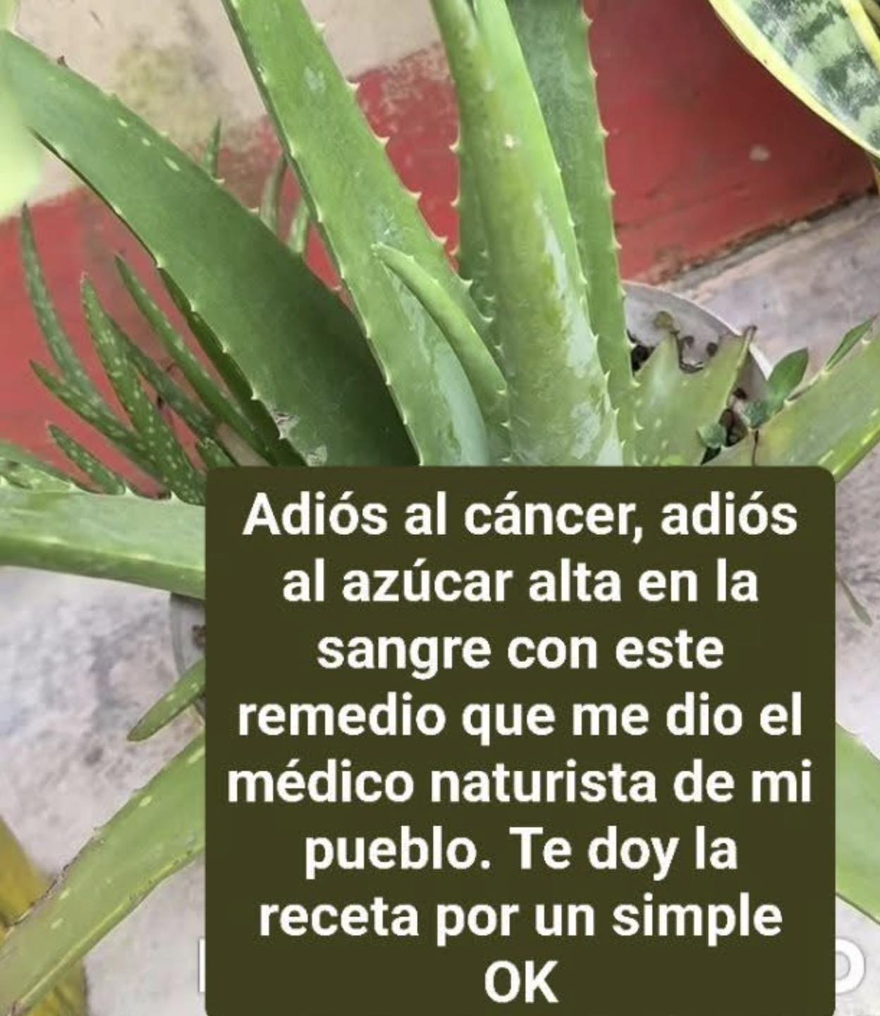 La Bebida de Limón + Nopal