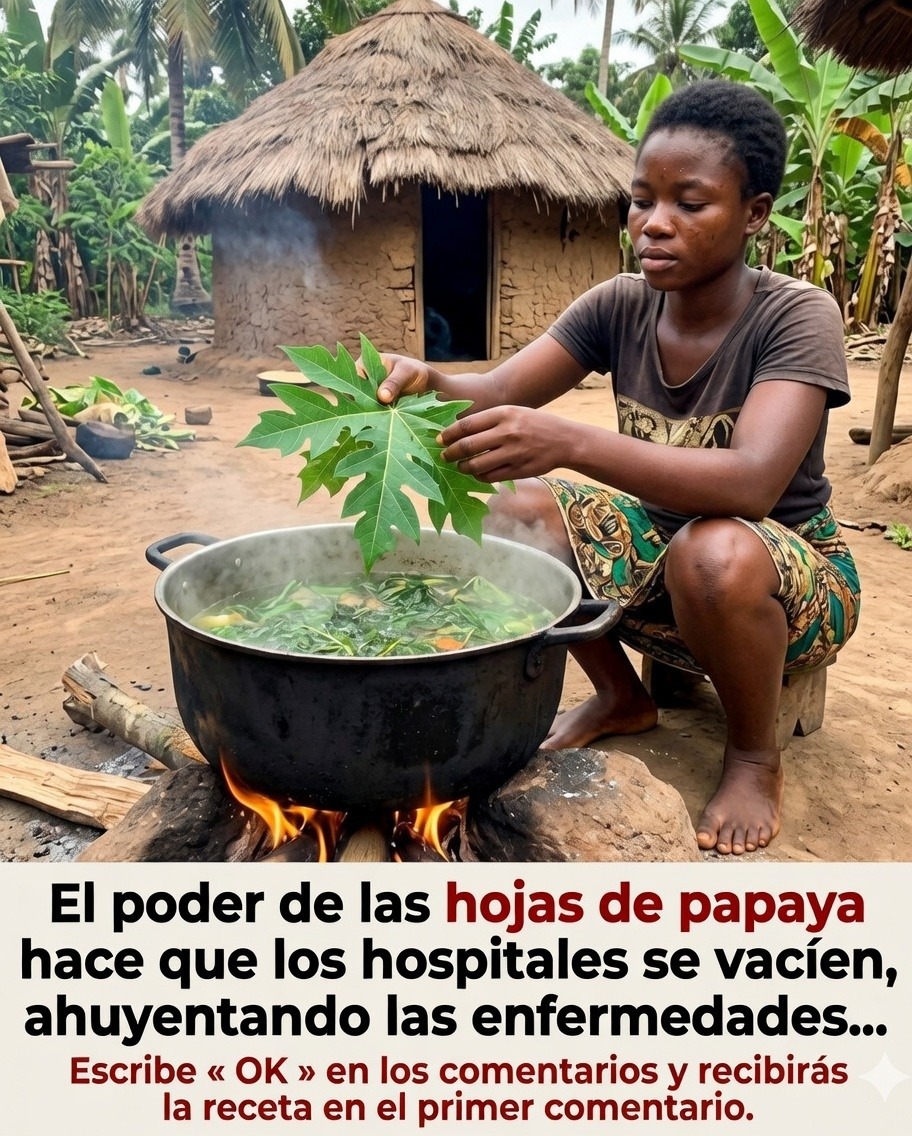 Una taza de hojas de papaya por la mañana y otra por la noche… ¡Descubre los beneficios ocultos que los médicos mantienen en secreto!….Ver másUna taza de hojas de papaya por la mañana y otra por la noche… ¡Descubre los beneficios ocultos que los médicos mantienen en secreto!….Ver más
