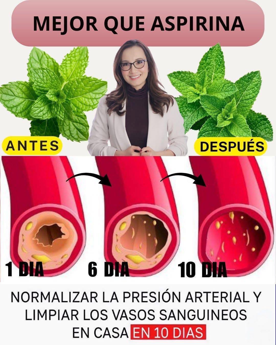 Di Adiós a las Arterias Obstruidas con Plantas Medicinales