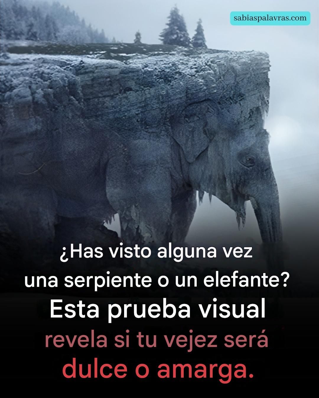 ¿Qué viste a primera vista? ¡El 97% de la gente vio una serpiente! ¡Descubre si tu vejez será dulce o amarga!