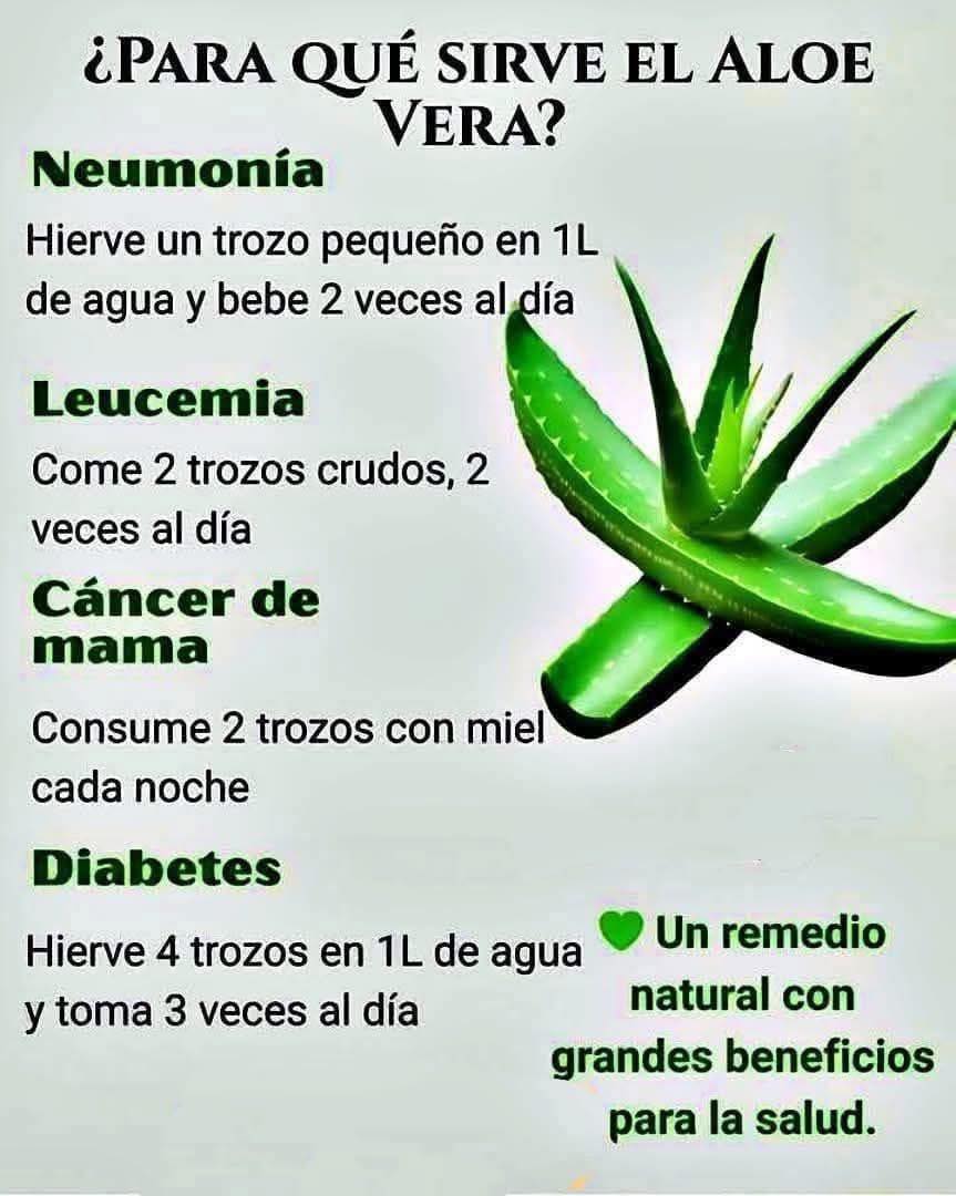 Cómo preparar paso a paso el jugo de aloe vera