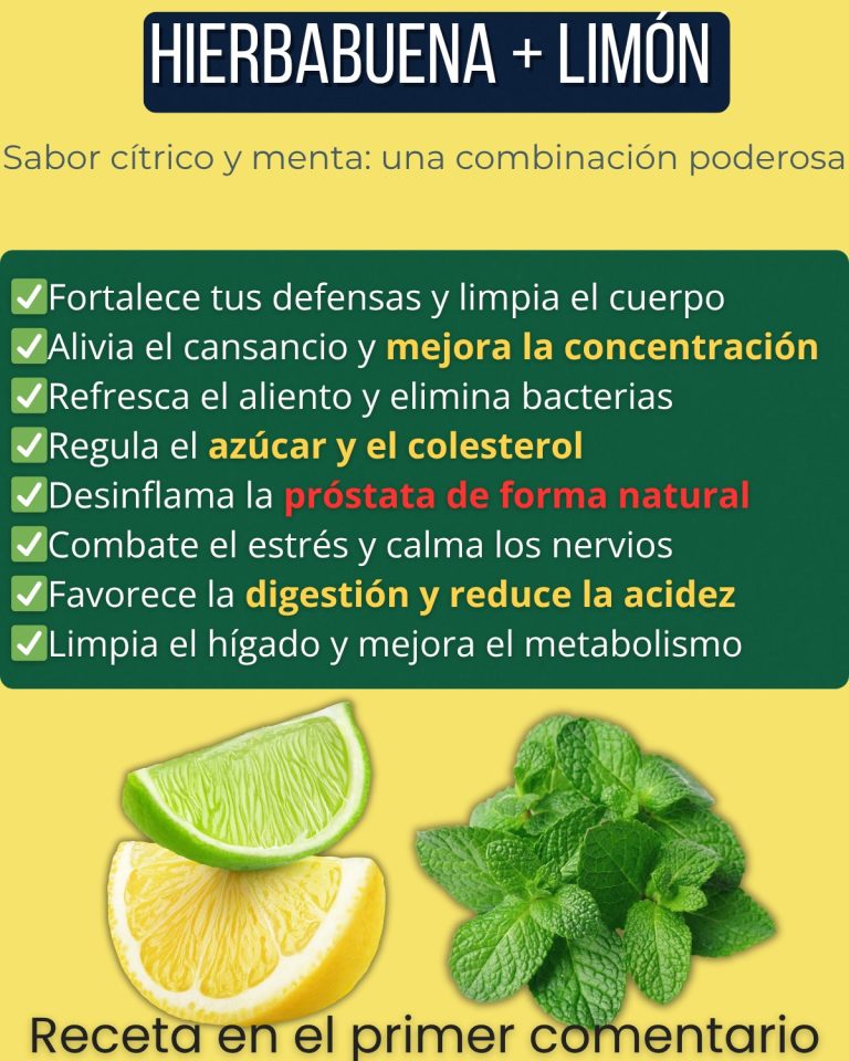 Jugo de hierbabuena con limón: propiedades y beneficios naturales