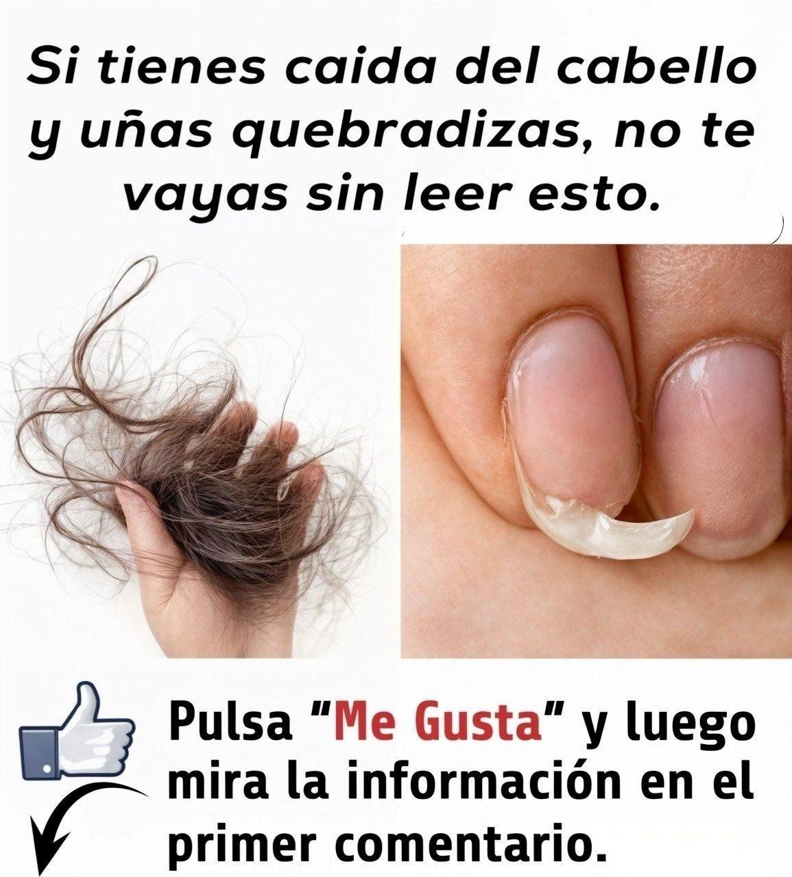 Descubre Cómo Prevenir la Caída del Cabello y Fortalecer Tus Uñas